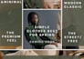 design promotional graphics for a brand